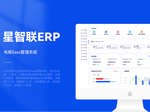 电商Sass管理系统